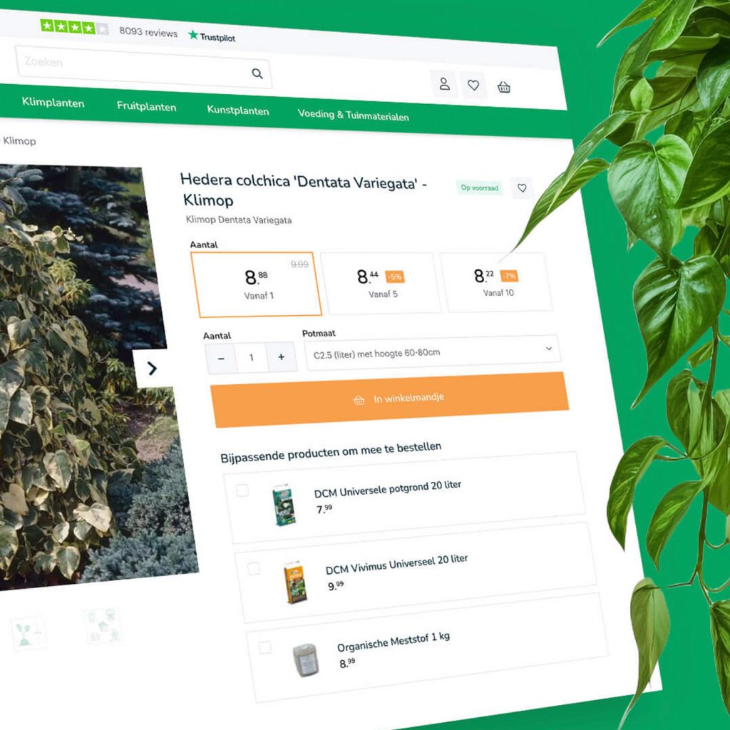 webshop groene paradijs