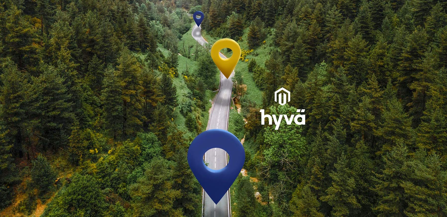 Hyva roadmap